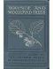 [Gutenberg 34740] • Wayside and Woodland Trees: A pocket guide to the British sylva